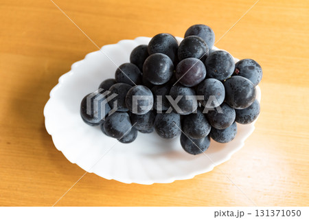 ナガノパープル 131371050