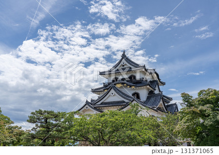 彦根城天守閣の見える風景 131371065