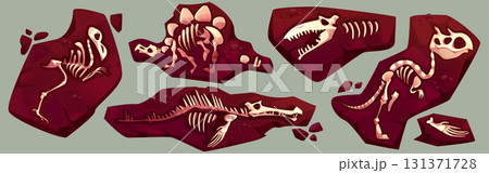Dinosaur fossil skeleton fragments in soil Dinosaur fossil skeleton fragments in soil 131371728