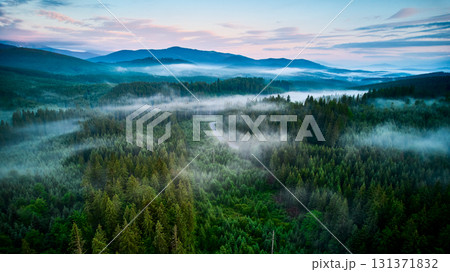 Aerial view of winding road snakes through dense, mist-covered forest in early morning light. Lush green trees with layers of mist creating dreamlike atmosphere as mountains rise in background. 131371832