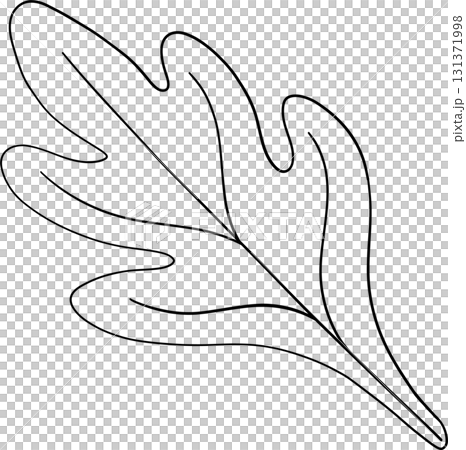 Maple leaf autumn harvest in outline style for thanksgiving holiday celebration Maple leaf autumn harvest in outline style for thanksgiving holiday celebration 131371998