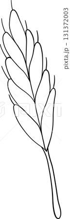 corn flowers autumn harvest in outline style of seasonal food for holiday celebration corn flowers autumn harvest in outline style of seasonal food for holiday celebration 131372003