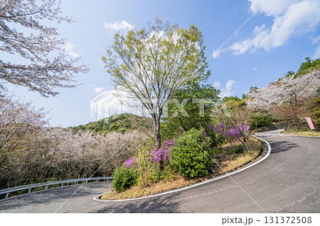春の日龍峯寺周辺の景色 131372508