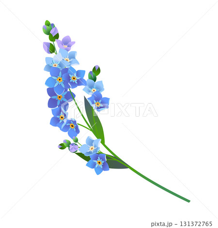Vintage vector floral element. A branch of blooming forget-me-nots. Spring flowers with blue petals. Clipart for wedding designs, Mother's Day, and Valentine's Day greeting cards. Vintage vector floral element. A branch of blooming forget-me-nots. Spring flowers with blue petals. Clipart for wedding designs, Mother's Day, and Valentine's Day greeting cards. 131372765