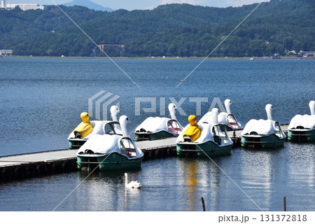 山梨県 山中湖旭日丘湖畔緑地公園湖岸のスワンボート 山梨県 山中湖旭日丘湖畔緑地公園湖岸のスワンボート 131372818
