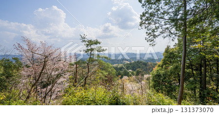 日龍峯寺高澤観音境内の景色 131373070
