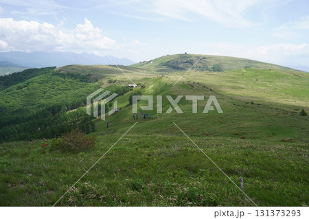 霧ヶ峰　山彦尾根　南の耳の山頂から車山方面を見る　2025年6月19日 131373293