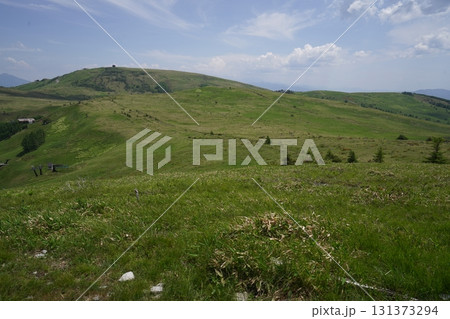 霧ヶ峰　山彦尾根　南の耳の山頂から車山方面を見る　2025年6月19日 131373294