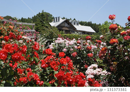 いわき市フラワーセンター 131373381