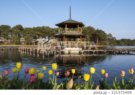 矢吹町大池公園 矢吹町大池公園 131373409