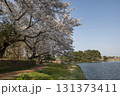 矢吹町大池公園 131373411
