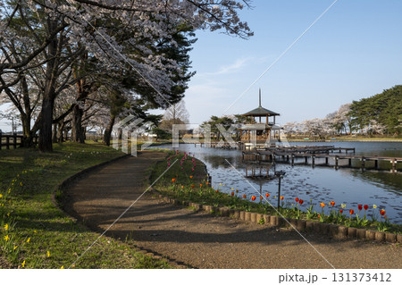 矢吹町大池公園 矢吹町大池公園 131373412