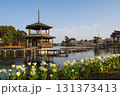矢吹町大池公園 131373413