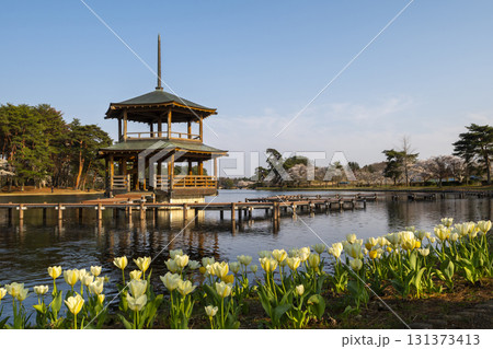 矢吹町大池公園 矢吹町大池公園 131373413