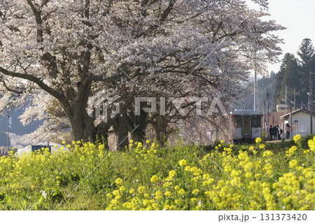 夏井駅の桜 131373420