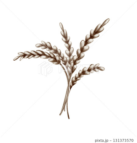 Playful bouquet wheat stalks with brown grains,crafted with soft watercolor washes and textured colored pencils.For harvest themes,childrens books,rustic designs and stickers 131373570