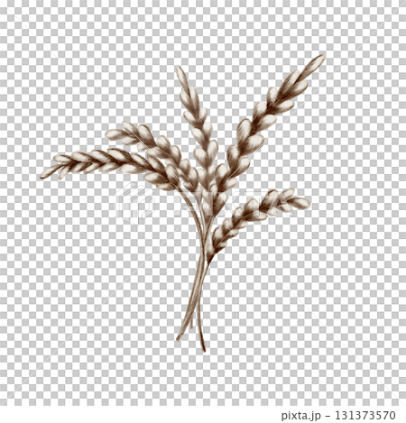 Playful bouquet wheat stalks with brown grains,crafted with soft watercolor washes and textured colored pencils.For harvest themes,childrens books,rustic designs and stickers 131373570