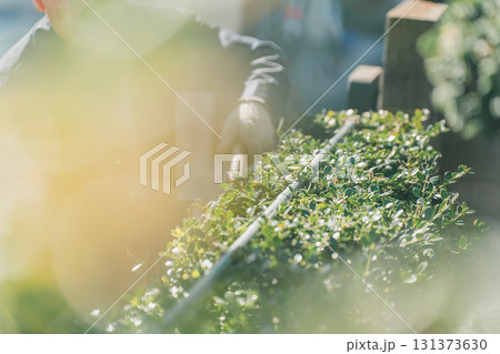 Japanese Gardener Japanese Gardener 131373630