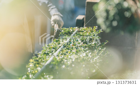 Japanese Gardener 131373631