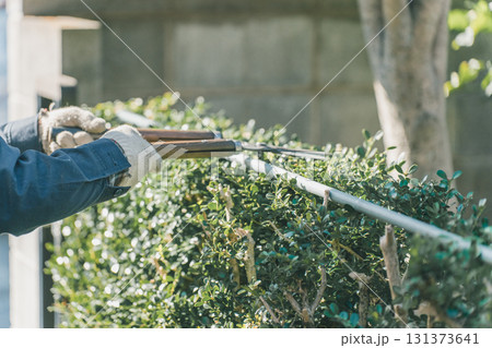 Japanese Gardener Japanese Gardener 131373641