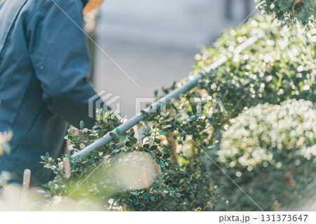 Japanese Gardener Japanese Gardener 131373647