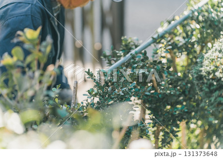 Japanese Gardener 131373648