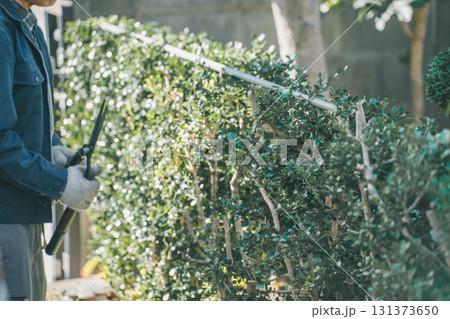 Japanese Gardener 131373650