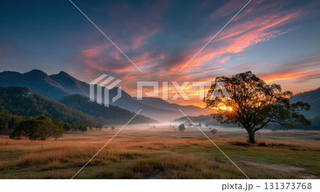 Sunset over a golden field 131373768