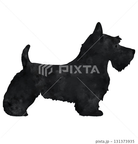 スコティッシュテリアの水彩のシルエット 131373935