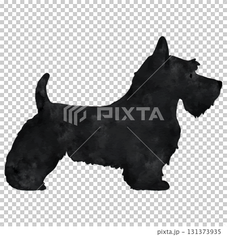 スコティッシュテリアの水彩のシルエット 131373935