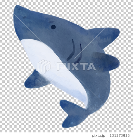 可愛いサメのイラスト　水彩 131373936
