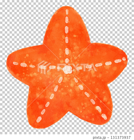 可愛いヒトデのイラスト　水彩 131373937