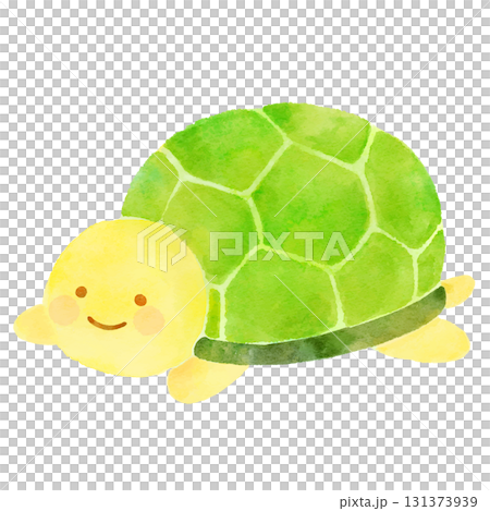 Cute turtle illustration watercolor 131373939
