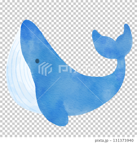 可愛いクジラのイラスト　水彩 131373940