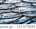 Lots of fresh mackerel fish background 131373944