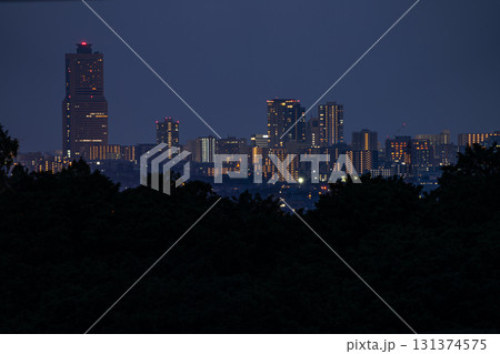 浜松市の街並み(静岡県) 浜松市の街並み(静岡県) 131374575