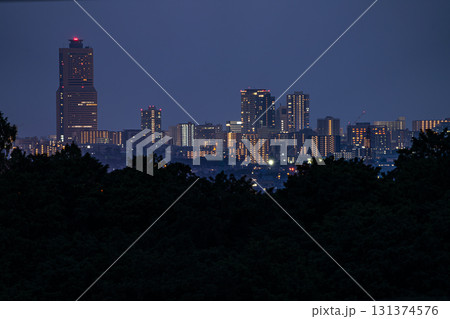 浜松市の街並み(静岡県) 131374576