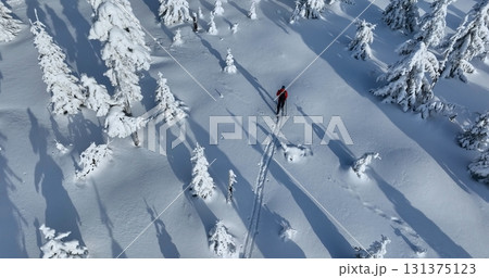 Aerial view of ski touring man crossing winter spruce forest, fresh snow. Clear sunny day, winter sport activity. 131375123