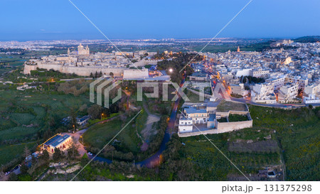 Aerial View of Mdina Malta at Twilight 131375298