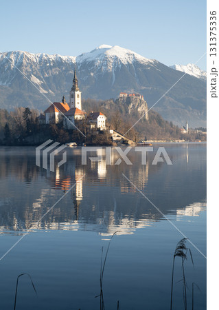 Winter View of Lake Bled with Church and Snowy Mountains, Slovenia Winter View of Lake Bled with Church and Snowy Mountains, Slovenia 131375336