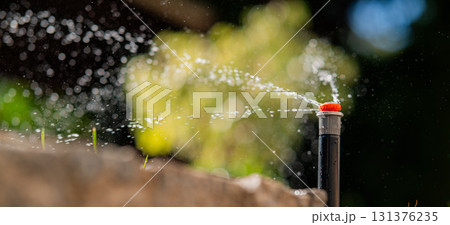 A sprinkler system is watering the lush grass, demonstrating effective irrigation and quality garden care 131376235