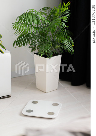 A Modern Scale Featured in a Contemporary and Stylish Setting for Your Home Decor A Modern Scale Featured in a Contemporary and Stylish Setting for Your Home Decor 131376239