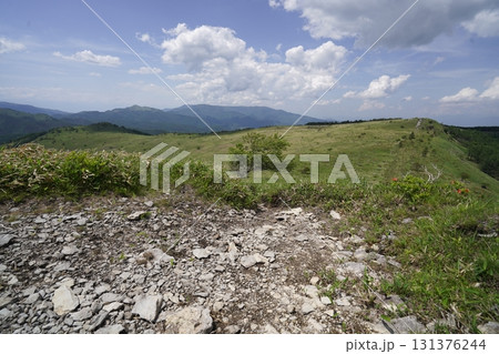 霧ヶ峰 山彦尾根のレンゲツツジ 南の耳の山頂付近から北の耳方面を見る 2025年6月19日 霧ヶ峰 山彦尾根のレンゲツツジ 南の耳の山頂付近から北の耳方面を見る 2025年6月19日 131376244