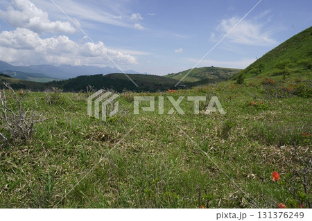 霧ヶ峰 山彦尾根のレンゲツツジ 南の耳を過ぎ、振り返ると車山が見える 2025年6月19日 霧ヶ峰 山彦尾根のレンゲツツジ 南の耳を過ぎ、振り返ると車山が見える 2025年6月19日 131376249