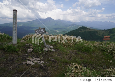 霧ヶ峰 山彦尾根のレンゲツツジ 北の耳の山頂 後方は、蓼科山方面 2025年6月19日 霧ヶ峰 山彦尾根のレンゲツツジ 北の耳の山頂 後方は、蓼科山方面 2025年6月19日 131376260