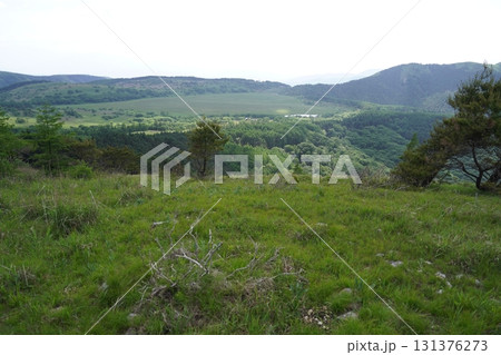 山彦尾根のレンゲツツジ　北の耳から男女倉山に向かう途中から八島湿原を見る　2025年6月19日 131376273