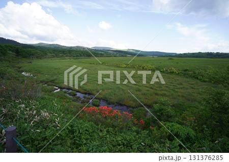 霧ヶ峰　八島湿原の西側遊歩道から見た八島湿原　2025年6月19日 131376285