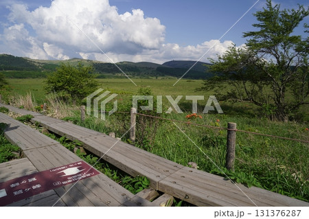 霧ヶ峰　八島湿原の西側遊歩道から見た八島湿原　2025年6月19日 131376287
