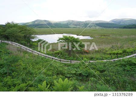 霧ヶ峰　八島湿原の西側遊歩道から見た八島湿原　2025年6月19日 131376289