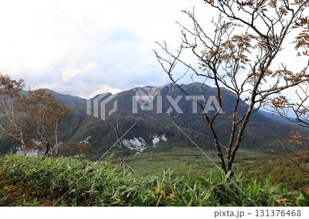 日本三百名山 ニセコアンヌプリ 登山道よりみたイワオヌプリ 日本三百名山 ニセコアンヌプリ 登山道よりみたイワオヌプリ 131376468